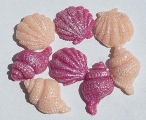 Conchas (Bolsita regalo) imagen 3